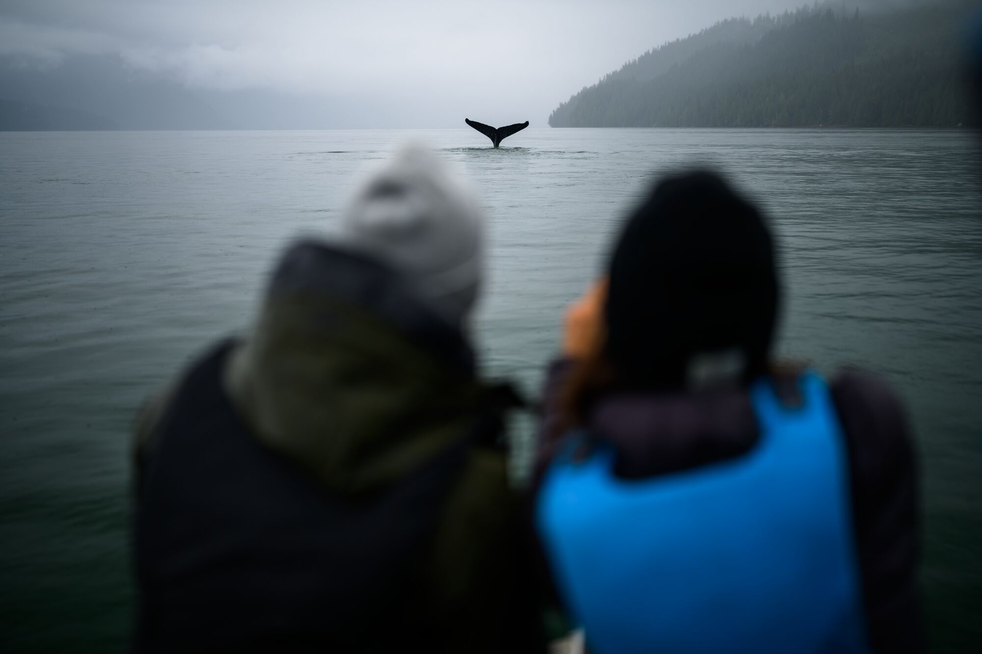 Whale watching on the Gardner Canal near Kitimat